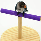 Creative Wooden Parrot Bird Frosted Stand Toy — Large