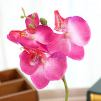 Decorative Landscaping Round Pot Three Flowers Phalaenopsis Bonsai Simulation Potted Plants — White