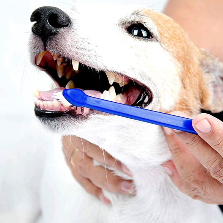 10pcs Dog Cat Effective Pets Oral Care Pet Toothbrush — view 6
