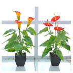 Artificial Flower Calla Plant Potted Home Decoration Green Plant — White Green