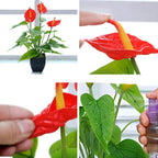 Artificial Flower Calla Plant Potted Home Decoration Green Plant — view 5