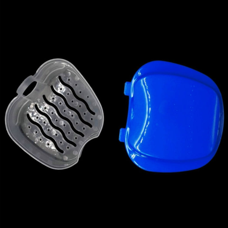 Cleaning Teeth Case Dental False Teeth Storage Box — Light Blue