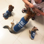 2 PCS Pet Cothing Dog Cat Spring and Summer Thin Cute Vest — view 7