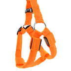 Double Sided LED Light Pet Harness Nylon Cat Dog Chest Strap Leash — S