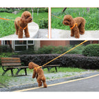 Double Sided LED Light Pet Harness Nylon Cat Dog Chest Strap Leash — Red