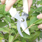 Garden Tools Stainless Steel Pruning Shears Fruit Tree Scissors Garden Branch Shears New And Old Packages Randomly Delivery — view 5