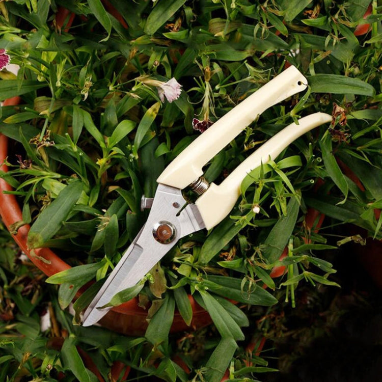 Garden Tools Stainless Steel Pruning Shears Fruit Tree Scissors Garden Branch Shears New And Old Packages Randomly Delivery — view 7