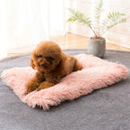 Autumn and Winter Warm Universal Square Pet Cat Dog Plush Pad