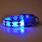 Plaid Pattern Rechargeable LED Glow Light Leads Pet Dog Collar for Small Medium Dogs — White