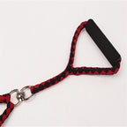 Double Dog Leashes Anti-winding Pet Traction Rope — Blue Black