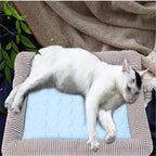 Summer Ice Silk Nest Pads Small and Medium-sized Multifunctional Cool Pet Nest Dog Cat Pad — view 9