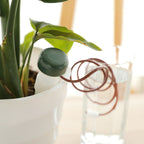 Flower Potted Automatic Watering Device, 6 Sets