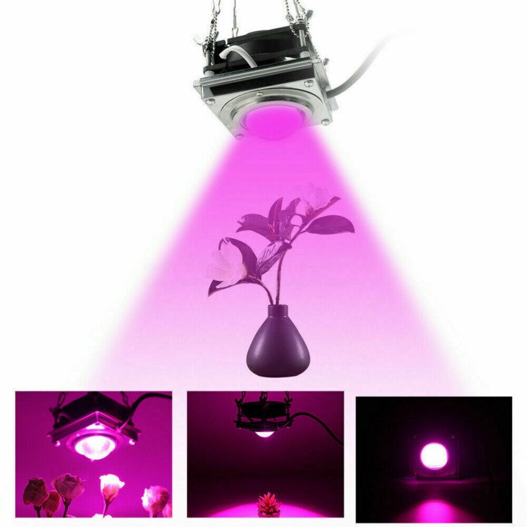 COB Plant Growth Light LED Vegetable Planting Succulent Light