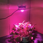 COB Plant Growth Light LED Vegetable Planting Succulent Light