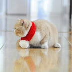 Pet Christmas Wool Scarf Medium & Large Dog Saliva Towel — S
