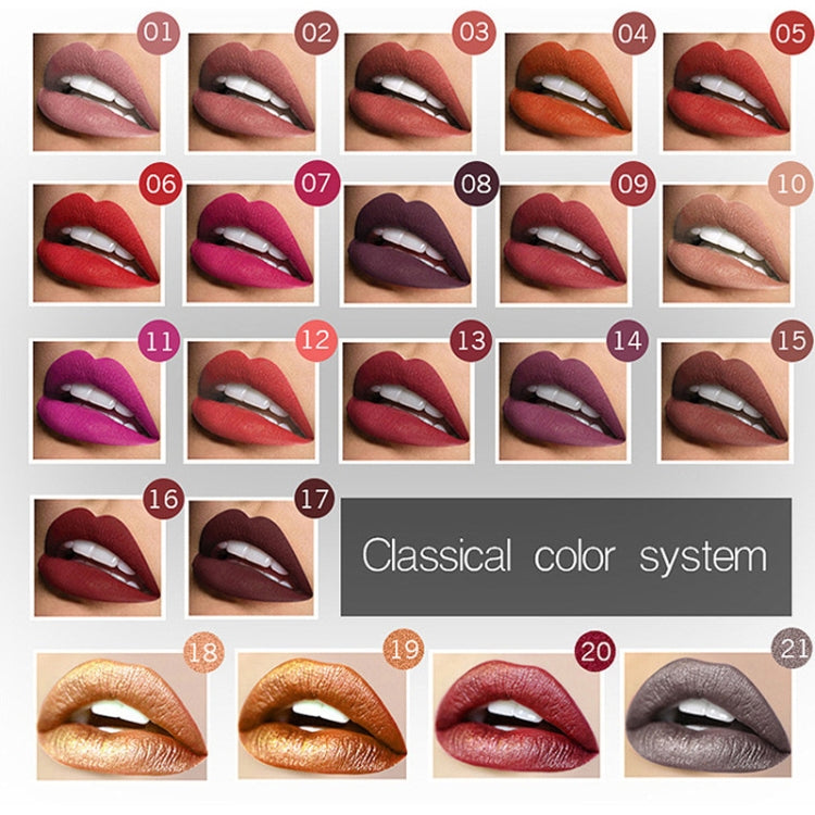 Waterproof Lip Gloss Matte Lipstick Cosmetics Makeup Nude