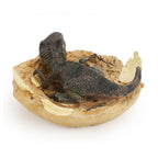 2 PCS Simulated Jurassic Dinosaur Cub Model Figure — Tyrannosaurus Rex