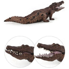 Simulation Crocodile Model PVC Wild Animal Static Decoration Toy — PL127-888