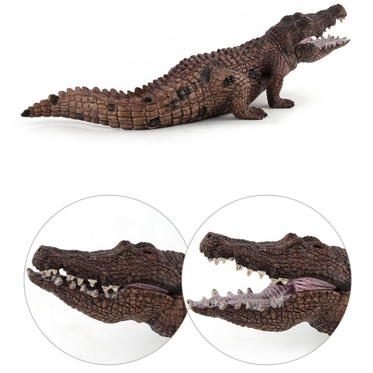 Simulation Crocodile Model PVC Wild Animal Static Decoration Toy — PL127-888
