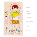 Onshine Five-Layer Human Body Structure Puzzle Wooden Puzzles For Children Physical Cognition — view 4