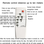 Outdoor Solar Flood Light Remote Control Sensor Waterproof Wall Light — view 8