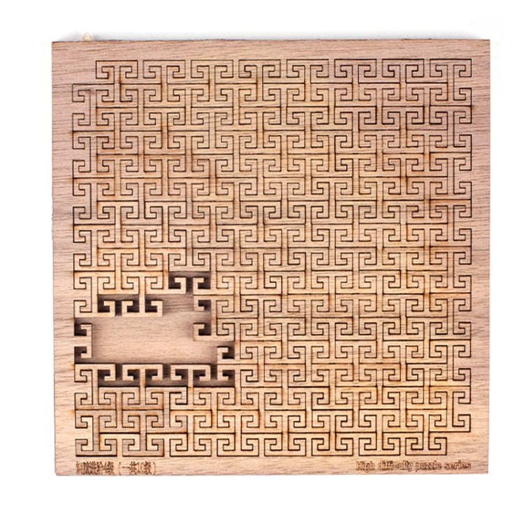 Wooden Adult High Difficulty Brain Burning Irregular Puzzle — Esher
