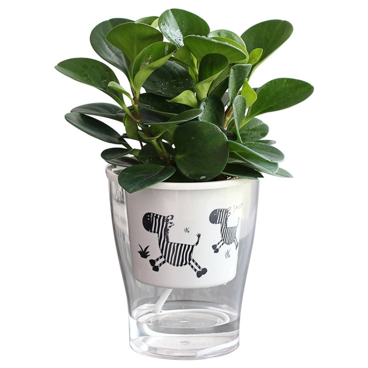 Fully Transparent Hydroponic Flower Pots Water Level Visible Non-Broken Glue Self-Absorbent Plastic Flower Pots — view 8