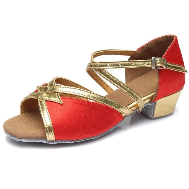 Tango Salsa Latin Low Heel Soft Bottom Dance Shoes for Girls & Women