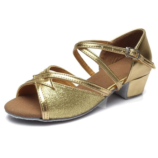 Tango Salsa Latin Low Heel Soft Bottom Dance Shoes for Girls & Women
