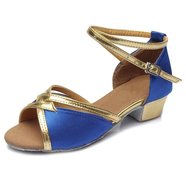 Tango Salsa Latin Low Heel Soft Bottom Dance Shoes for Girls & Women