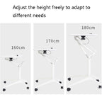 D10 Universal Wheel Standing Computer Desk Movable Lifting Desk — Silver Frame Maple Board