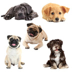 3D Simulation Dog Car Stickers Rain-Proof Sunscreen Car Sticker Scratch Shaving Decoration Stickers