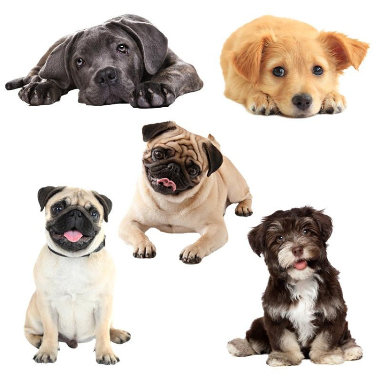 3D Simulation Dog Car Stickers Rain-Proof Sunscreen Car Sticker Scratch Shaving Decoration Stickers