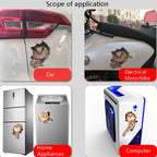 3D Stereo Cat Car Sticker Car Body Scratches And Occlusion Stickers