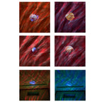 Planetary LED Aurora Bluetooth Projection Lights Remote Music Laser Lamp — view 5