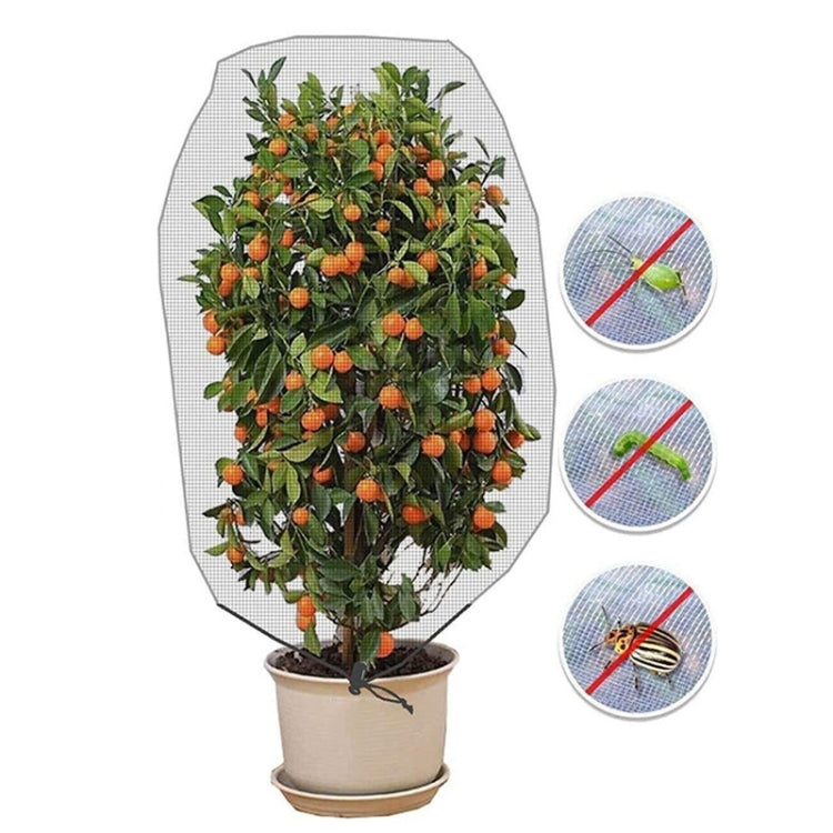 Plant Insect Cover Net With Drawstring Greenhouse Fruit Tree Bird Cover — 1.2x1.4m