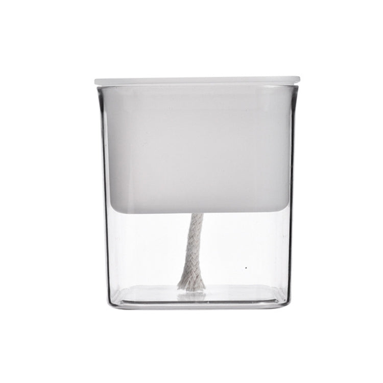 Hydroponic Transparent Visible Plastic Flower Pot — White
