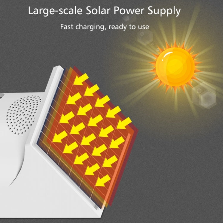 Outdoor Waterproof Solar Infrared Alarm, Spec: