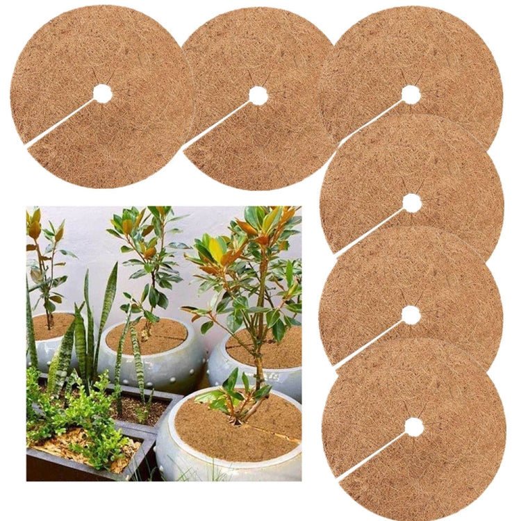 6 PCS/Set Plant Root Antifreeze Flowerpot Coconut Palm Flat Mat, Size: — 20cm