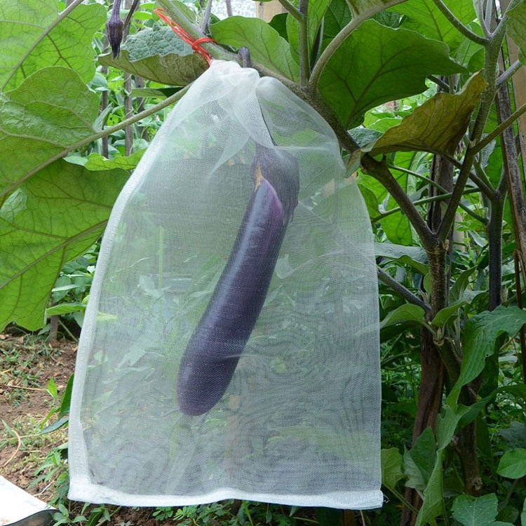 Fruit & Vegetable Insect-Proof And Bird-Proof Nylon Mesh Bag, Specification: 70x48cm — 45x15cm