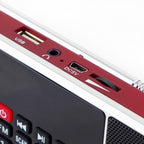 Dual Speaker Radio MP3 Player Support TF Card/U Disk with LED Display