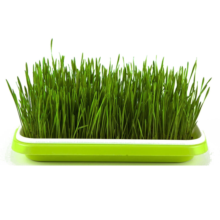 Bean Sprout Germination Tray Soilless Culture Seedling Pot, 5 PCS