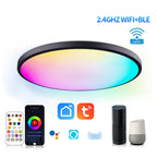 RGBCW Smart Graffiti App Voice Ceiling Light, Voltage: — view 6