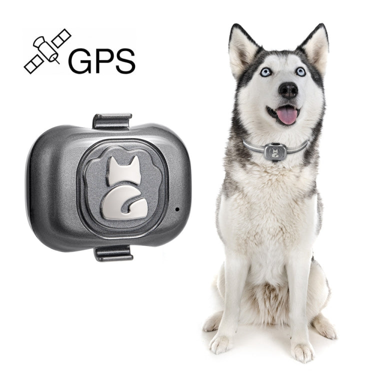 Tracker IP67 Waterproof Smart Collar Anti-lost Tracking for Dog Cat, G16 Pets GPS