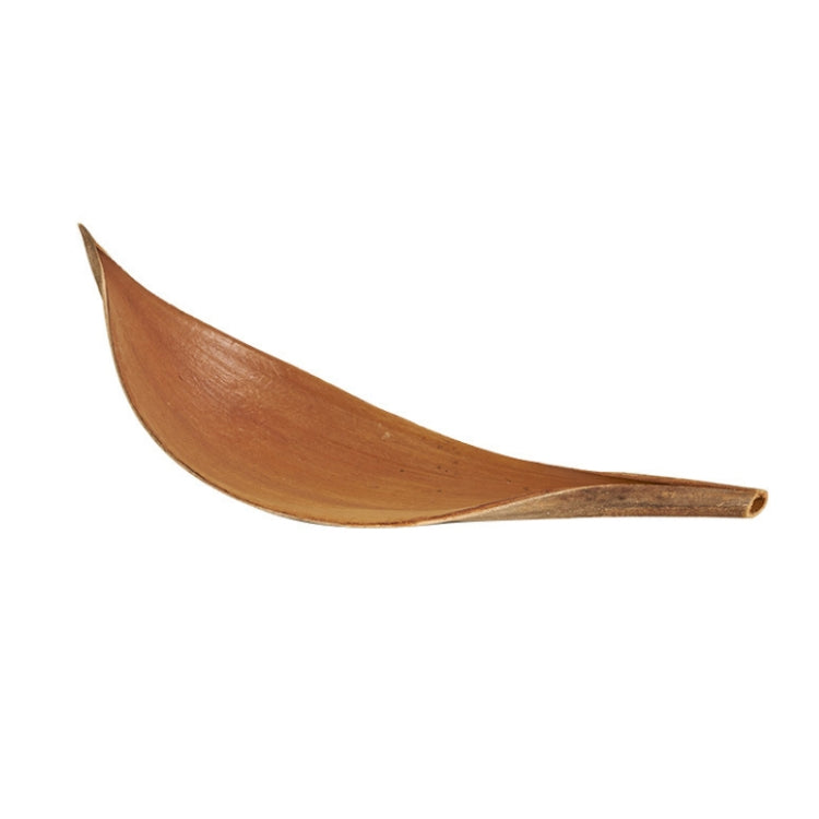 Cocoa Leaves Natural Plant Shooting Props Dry Flower Ornaments — 35-39 cm
