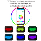 Remote Control Bluetooth LED Ceiling Lamp RGB Music Rhythm Color Changing Lamp — view 4