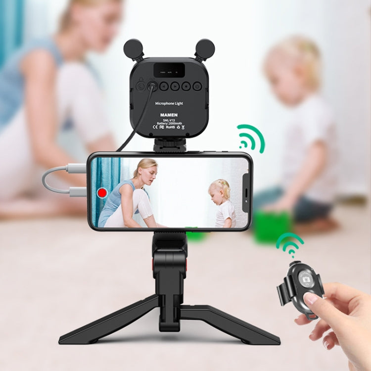 KIT-11LM Tripod Fill Light With Microphone Vlogging Kit For Live Phone Recording — view 9
