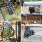 Turtle Aquascape Climbing Platform Reptile Hiding Cave Three Legged Turtle Platform