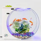 USB Jellyfish Fish Tank Multifunctional Electronic Mini Jellyfish Box — view 2