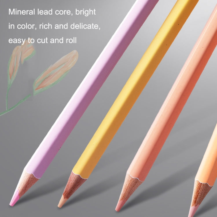 36 Colors Oily Bright Color Pencil Studio Special Set